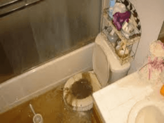 A Toilet Overflowing